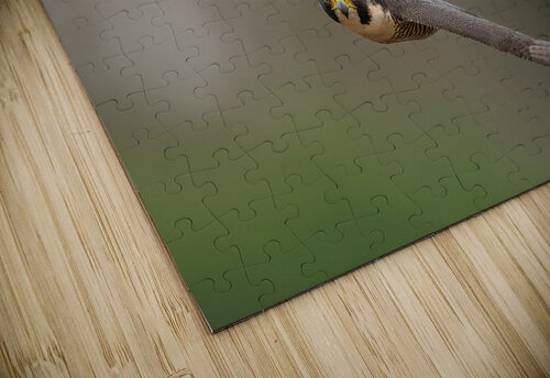 DSC06359 Edit 5 Razak Photography puzzle