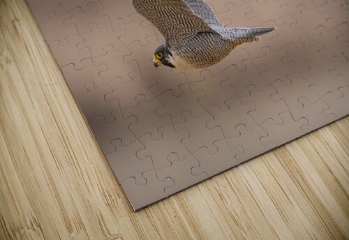 DSC08139 Edit Razak Photography puzzle