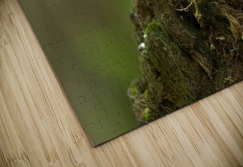 A29I5872 Edit 2 Razak Photography puzzle