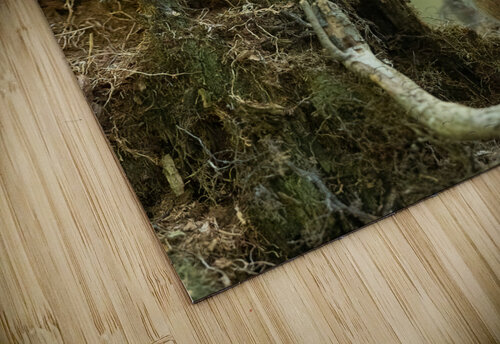 A29I5834 Edit 4 Razak Photography puzzle
