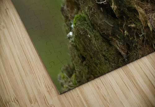 A29I5903 Edit 2 Razak Photography puzzle