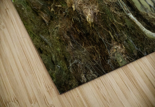 A29I5837 Edit Razak Photography puzzle