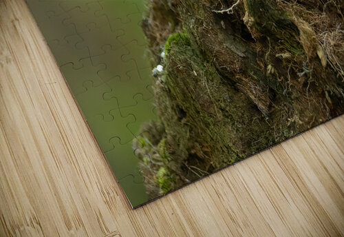A29I5919 Edit 2 Razak Photography puzzle