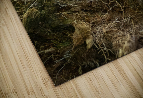 A29I5903 Edit 3 Razak Photography puzzle