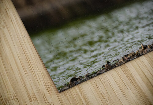DSC01227 Edit Razak Photography puzzle