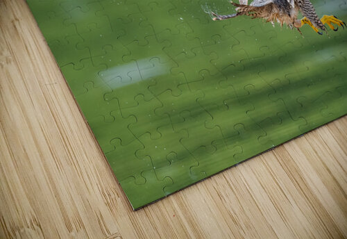 DSC07325  Razak Photography puzzle