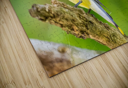 DSC04372 Edit 2 Razak Photography puzzle