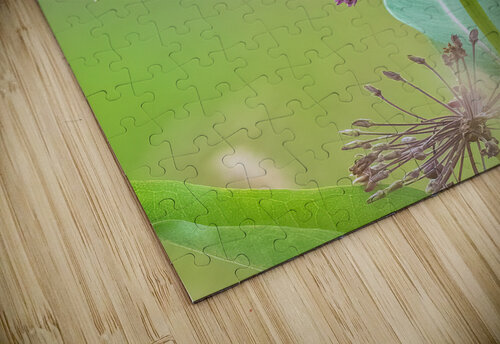 DSC07965 Edit 4 Razak Photography puzzle