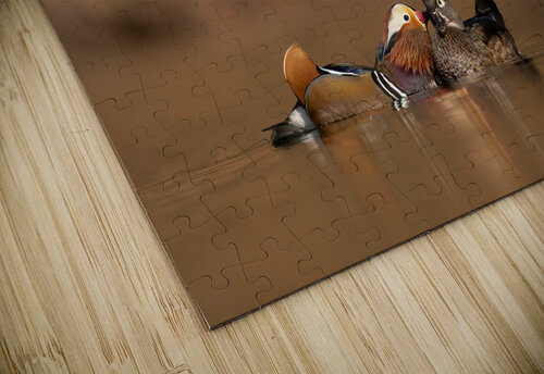 DSC07972 Edit 2 Razak Photography puzzle