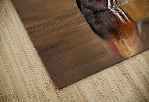 DSC07387 Ed Razak Photography puzzle