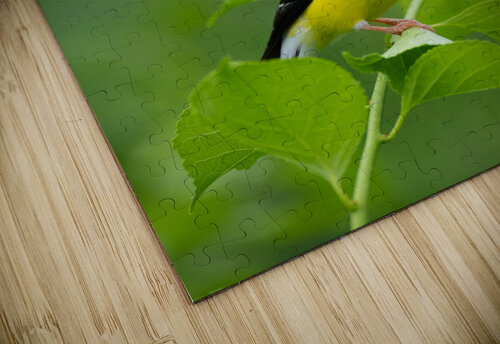 DSC00184 Edit 5 Razak Photography puzzle