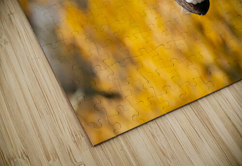 DSC09152 Razak Photography puzzle