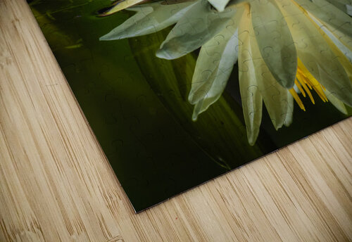 5F4A9754 Edit Razak Photography puzzle