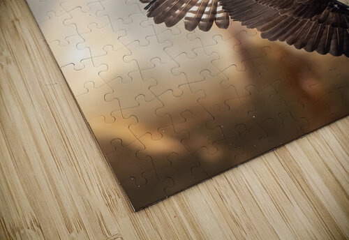 DSC00839 Edit 3 Razak Photography puzzle