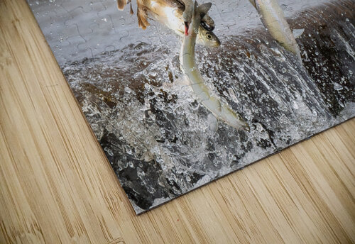 DSC08017 Edit Razak Photography puzzle