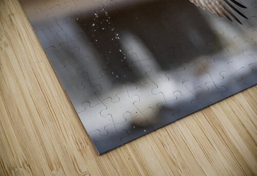 DSC01098 2 Edit 2 Razak Photography puzzle