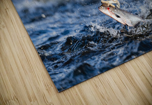 DSC04494  2 Razak Photography puzzle