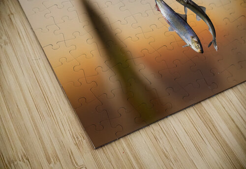 DSC04794 Edit 2 Razak Photography puzzle
