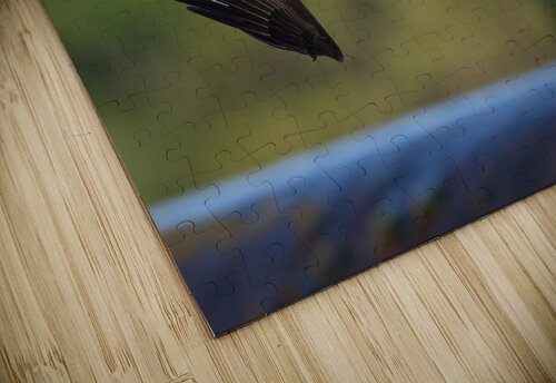 DSC02055 2 Razak Photography puzzle