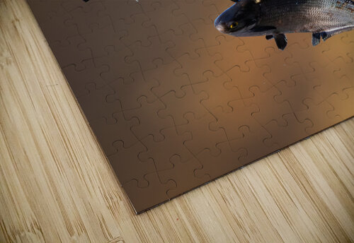 DSC02279 Edit  Razak Photography puzzle