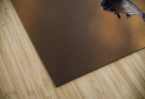 DSC02279 2 Razak Photography puzzle
