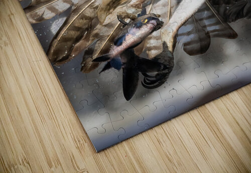 DSC00700  Razak Photography puzzle