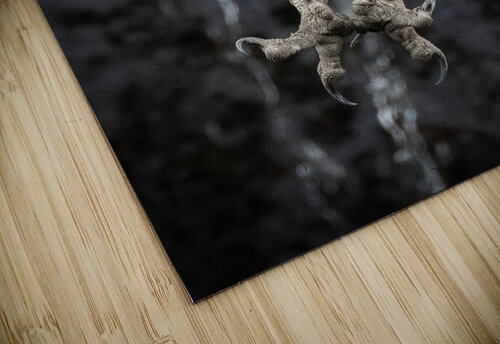 DSC02992 Edit  Razak Photography puzzle