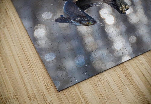 DSC00691 Edit 4 Razak Photography puzzle