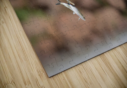 DSC01569 Edit Razak Photography puzzle