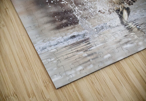 DSC09694 Edit Razak Photography puzzle