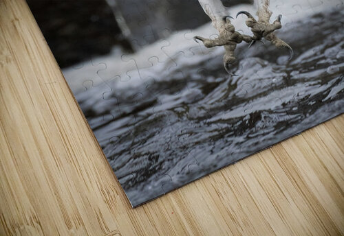 DSC02993 Edit 7 Razak Photography puzzle