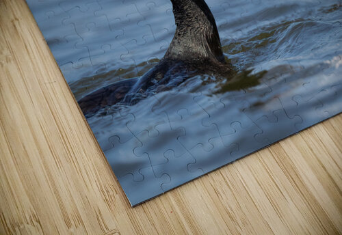 DSC07175 Edit 7 Razak Photography puzzle