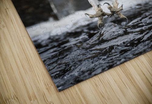 DSC02993 5 Razak Photography puzzle