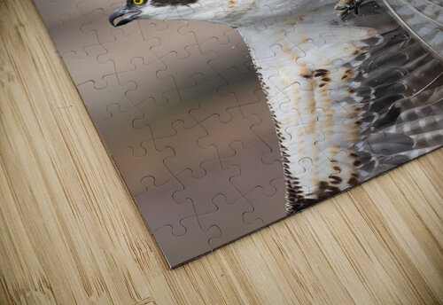 DSC09177 Edit Razak Photography puzzle