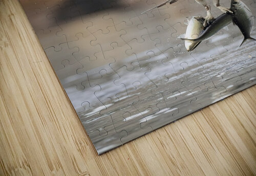 DSC09749 Edit 6 Razak Photography puzzle