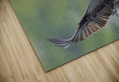 DSC09914 Edit 2 Razak Photography puzzle