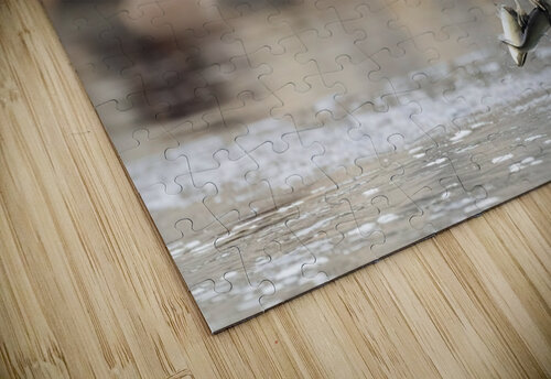 DSC09749 Edit 2 Razak Photography puzzle