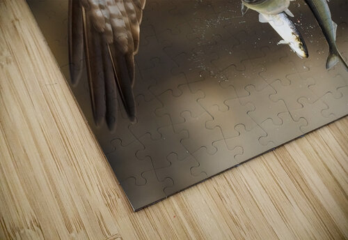 DSC09791 Edit 9 Razak Photography puzzle