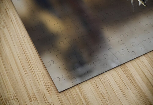 DSC09800 Edit 2 Razak Photography puzzle