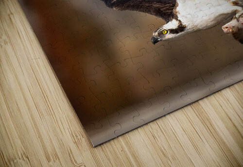DSC00152 Edit 6 Razak Photography puzzle