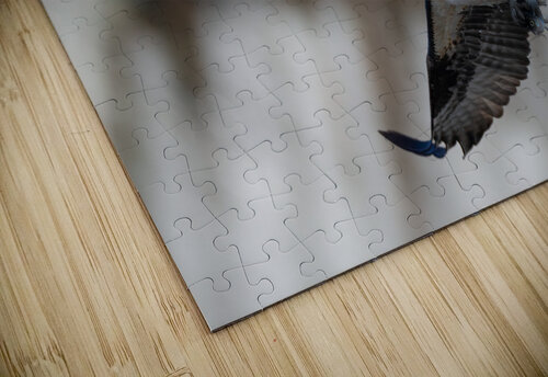 DSC01926 Edit 2 Razak Photography puzzle