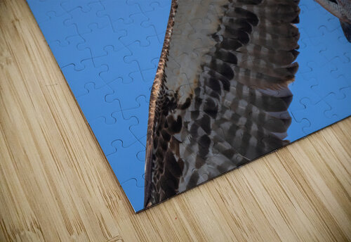 DSC02366 Edit Razak Photography puzzle