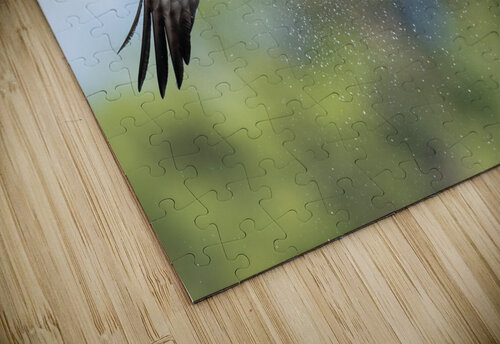 DSC01664 Edit Razak Photography puzzle
