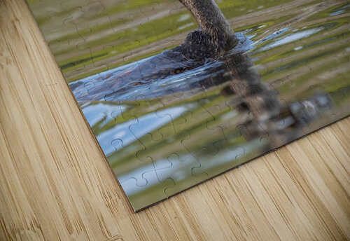 DSC09756 2 Edit Razak Photography puzzle