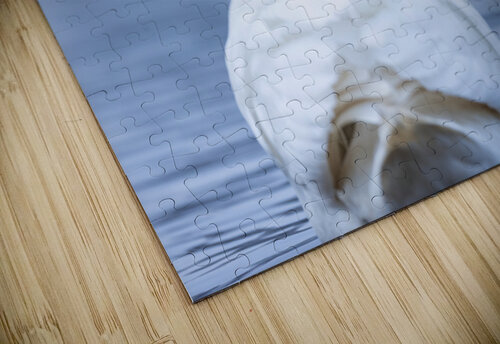 A29I4984 Edit 2 Razak Photography puzzle