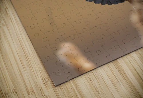 A66I1637 Edit 3 Razak Photography puzzle