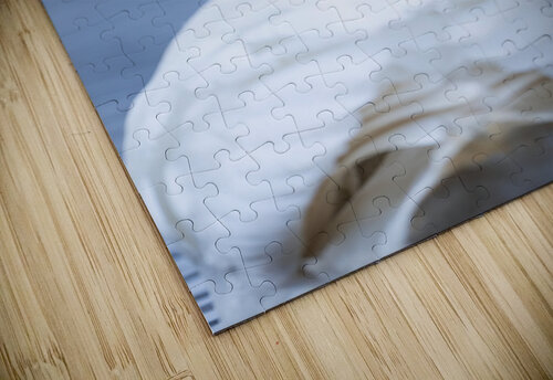 A29I4984 Edit 3 Razak Photography puzzle