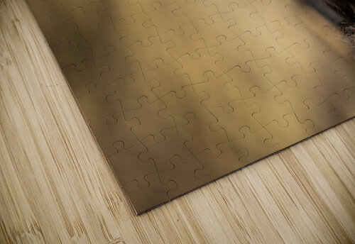 A29I4120 Edit Razak Photography puzzle