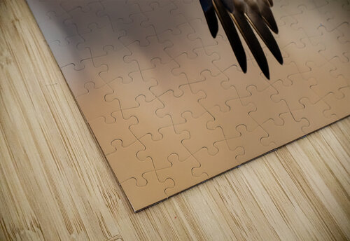 DSC06668 Edit Razak Photography puzzle
