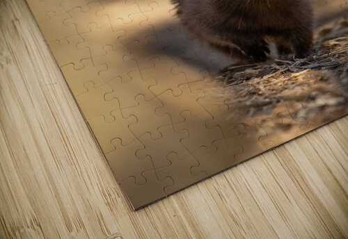 A29I4120 Edit 4 Razak Photography puzzle